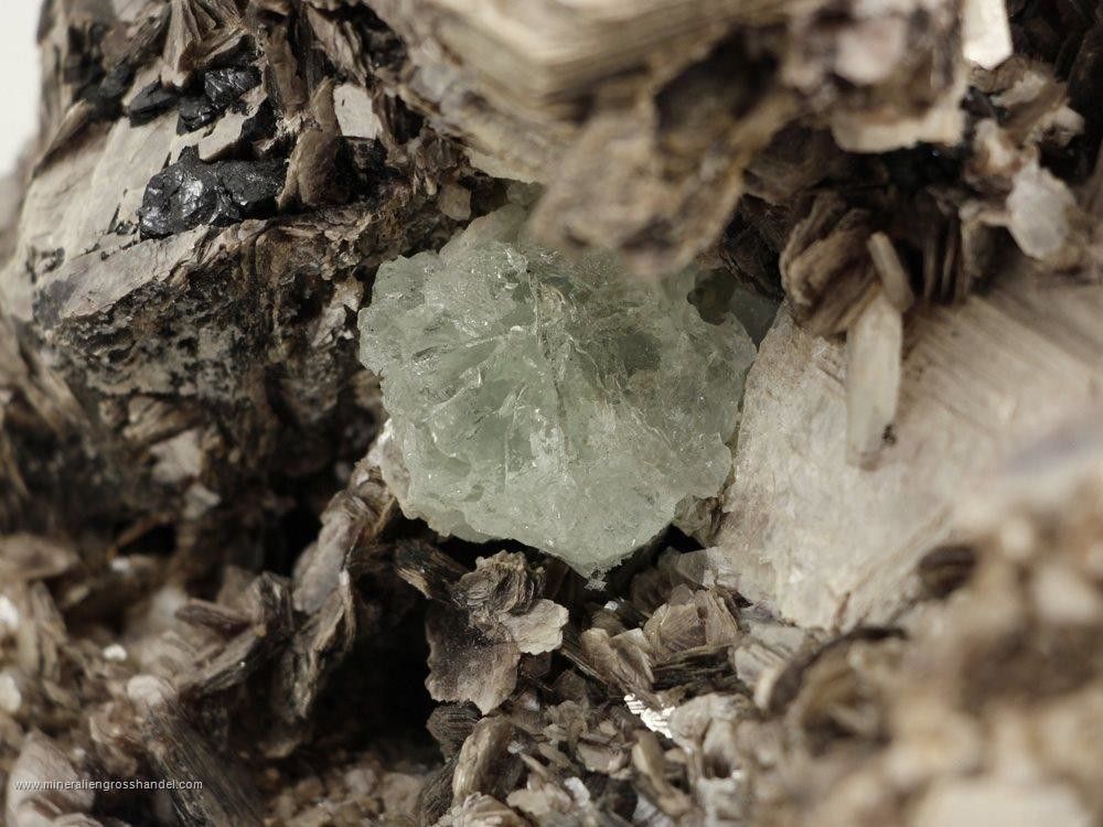 Acquamarina - cristallo scheletrato a livello di muscovite