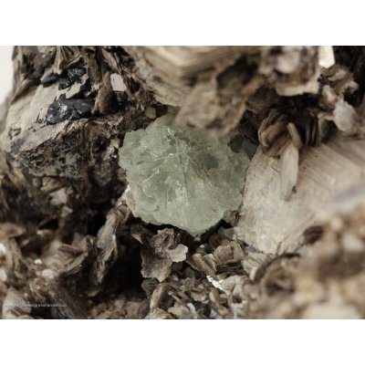 Acquamarina - cristallo scheletrato a livello di muscovite