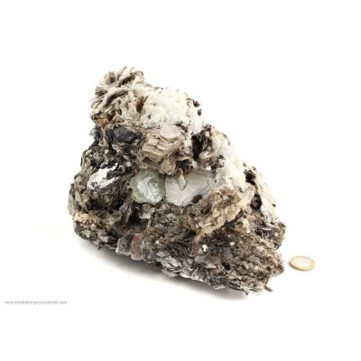 Acquamarina - cristallo scheletrato a livello di muscovite