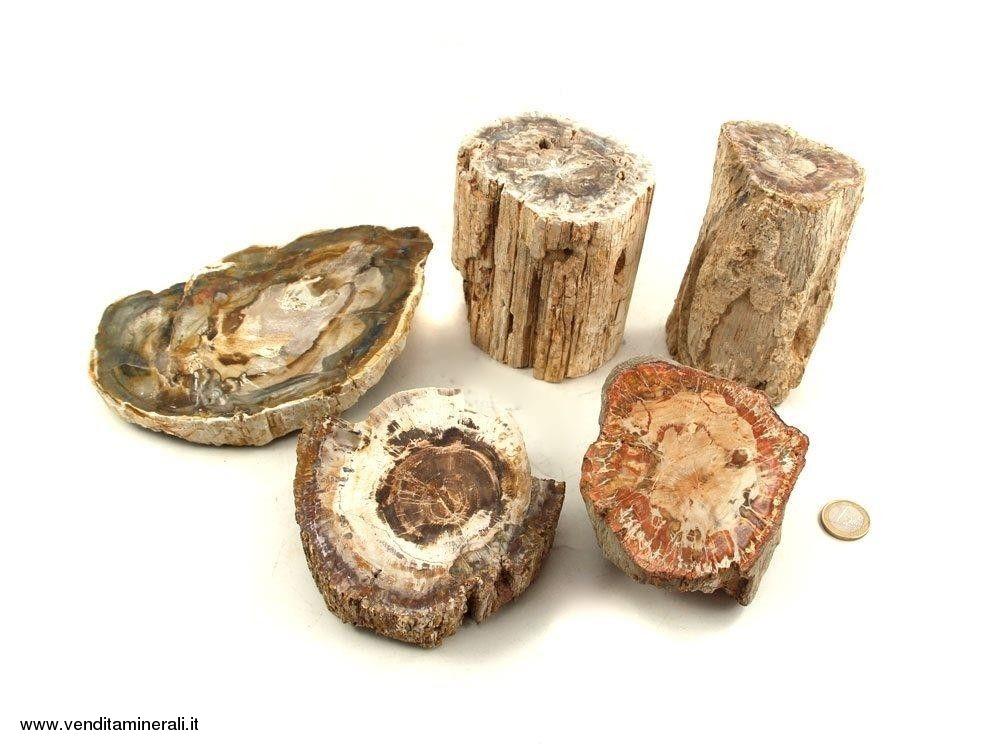 Legno pietrificato - Pietre piccole - 1 kg