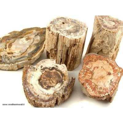 Legno pietrificato - Pietre piccole - 1 kg