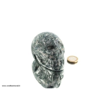 Teschio di cristallo in albero d'agata