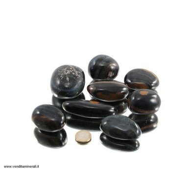 Occhio di falco Pebbles / XL 0,5 kg