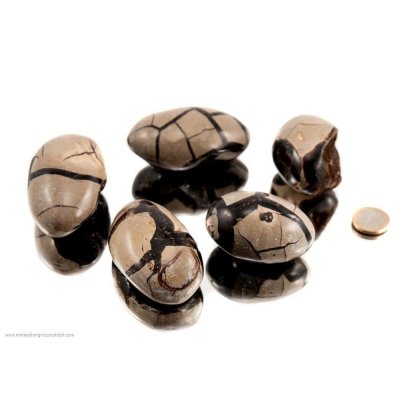 Mini uova di Septaria cristallizzate - 1 kg