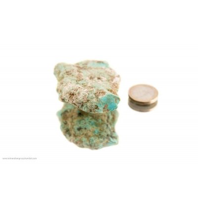 Pepita Kingman turchese