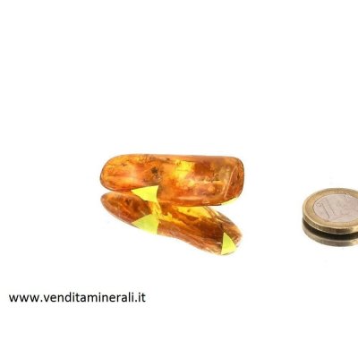 Ambra del Baltico