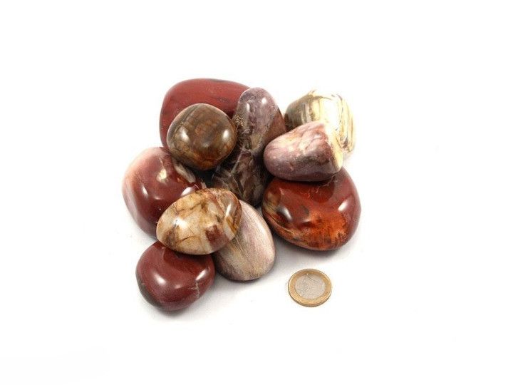 Ciottoli di legno pietrificato / Pietre burattate XL 0,5KG