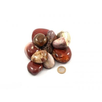 Ciottoli di legno pietrificato / Pietre burattate XL 0,5KG