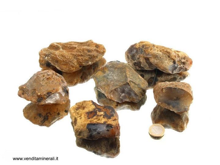 Pietre grezze di agata (agata dendrite) - 1 kg