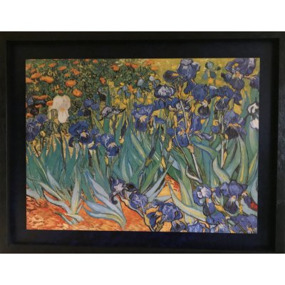 QUADRO IRIS di VAN GOGH FALSI D'AUTORE