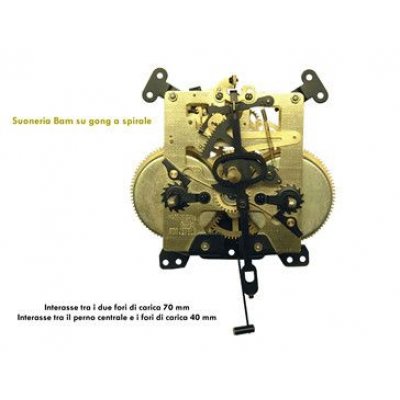 Movimento Carica 31 gg