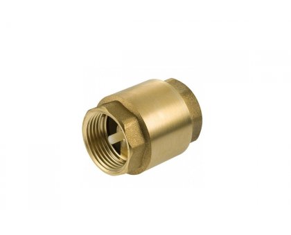 Valvola di ritengo con disco in Nylon 2"
