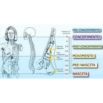 Trattamento Metamorfico