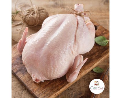 POLLETTI NAZIONALI GR.700/800 EXTRA