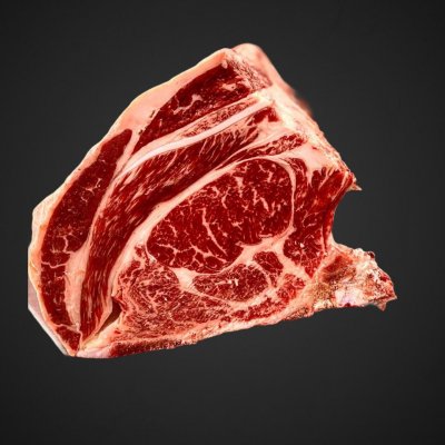 COSTATA MANZETTA SLAVA DA GR.500