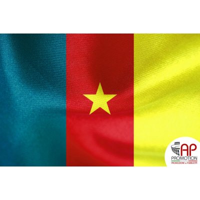 Bandiera Camerun