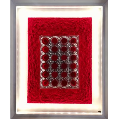 MIXED MEDIA MICHELE TONIATTI ' ROSSO PIGMENTO ' dimensioni L 50 x H 40 cm.