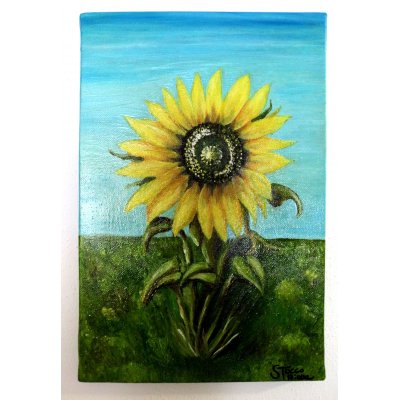 OLIO SU TELA TIZIANA STOCCO ' GIRASOLE NEL CAMPO ' dimensioni L 20 x H 30 cm.