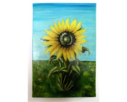 OLIO SU TELA TIZIANA STOCCO ' GIRASOLE NEL CAMPO ' dimensioni L 20 x H 30 cm.