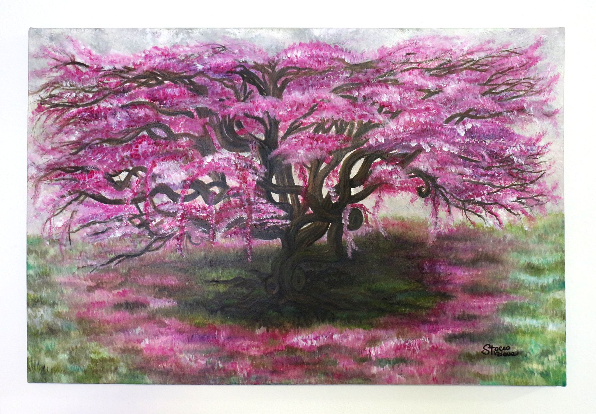 OLIO SU TELA  TIZIANA STOCCO ' ALBERO CILIEGIO IN FIORE '  dimensioni L 60 x H 40 cm.