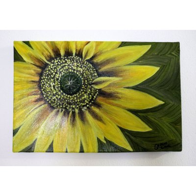 OLIO SU TELA TIZIANA STOCCO ' GIRASOLE ' dimensioni L 30 x H 20 cm.