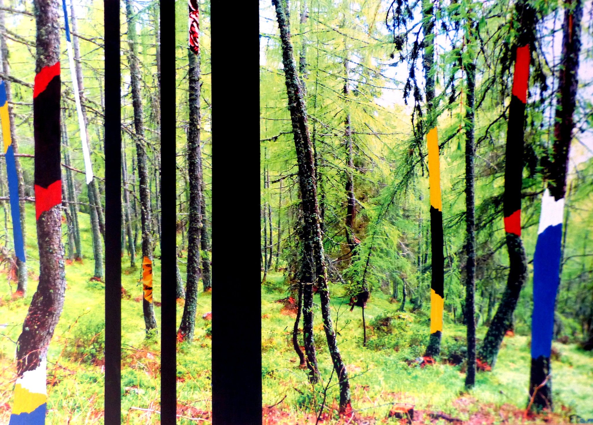 MIXED MEDIA  FERNANDO TAM ' IL BOSCO COLORATO 2 '  dimensioni L 70 x H 100 cm.