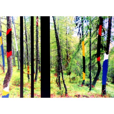 MIXED MEDIA FERNANDO TAM ' IL BOSCO COLORATO 2 ' dimensioni L 70 x H 100 cm.