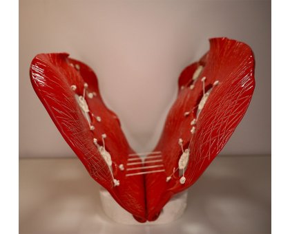 SCULTURA IN ARGILLA LUCIANA PEREGO ' METAMORFOSI 1 ' dimensioni L 15 x H 30 x P 15 cm.