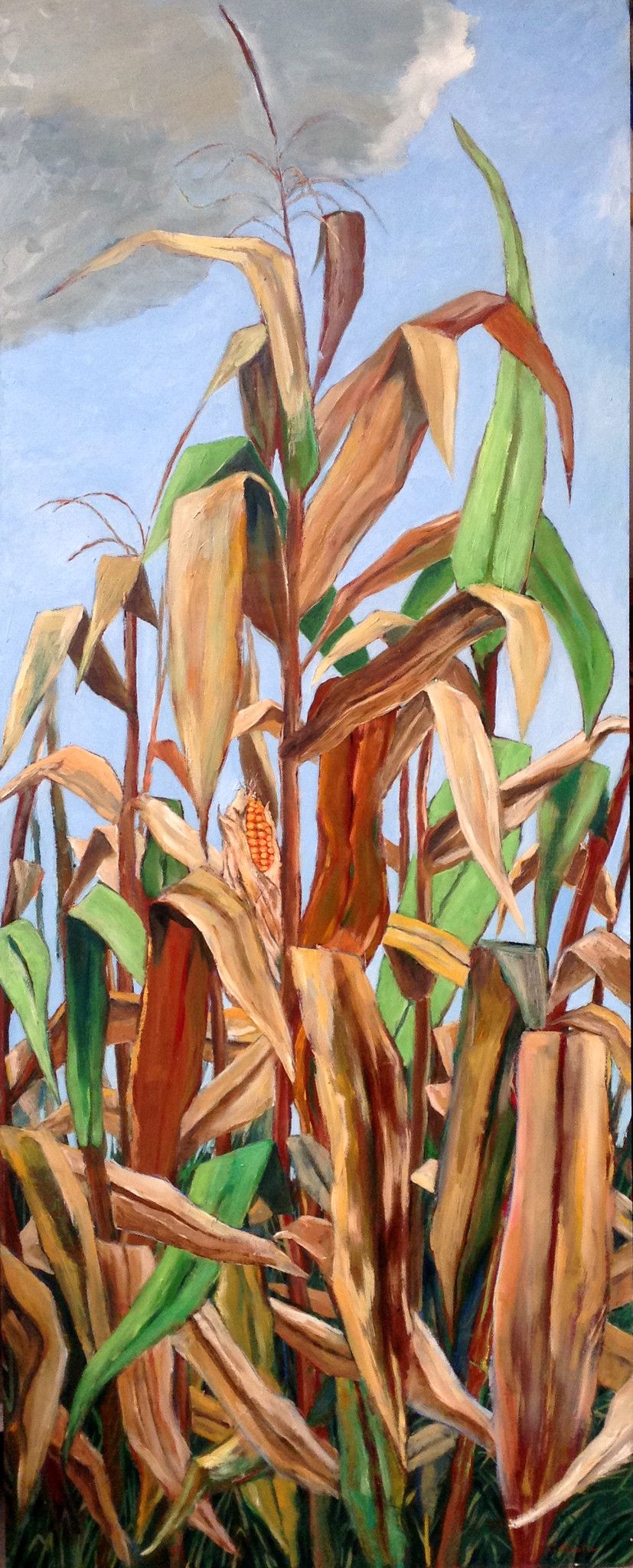 OLIO SU TAVOLA  DANIELE ALBATICI ' GRANOTURCO '  dimensioni L 124 x H 50 cm.