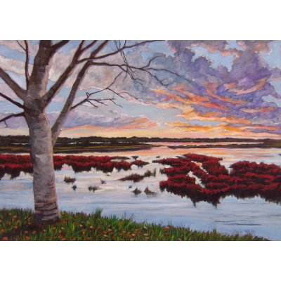 OLIO SU TELA DANIELE ALBATICI ' TRAMONTO IN VALLE A MARINA ROMEA ' dimensioni L 70 x H 50 cm.