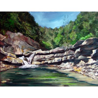 OLIO SU TELA DANIELE ALBATICI ' PREMIL CUORE II RABBI ' dimensioni L 50 x H 40 cm.