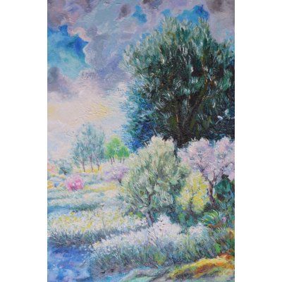 OLIO SU TELA MICHELE LA SALA ' FIUME IN COLORE ' dimensioni L 80 x H 100 cm.