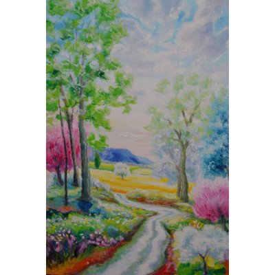 OLIO SU TELA MICHELE LA SALA ' IL COLORE DEL PAESAGGIO ' dimensioni L 60 x H 80 cm.