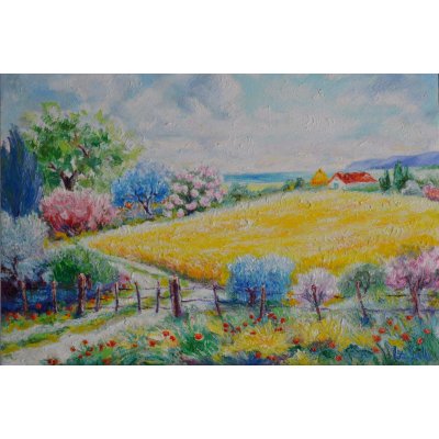 OLIO SU TELA MICHELE LA SALA ' PAESAGGIO DELLA MENTE ' dimensioni L 50 x H 70 cm.