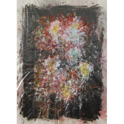 MIXED MEDIA SU PLASTICA PAOLO DEGAN ' ROSE ' dimensione L 60 x H 80 cm.