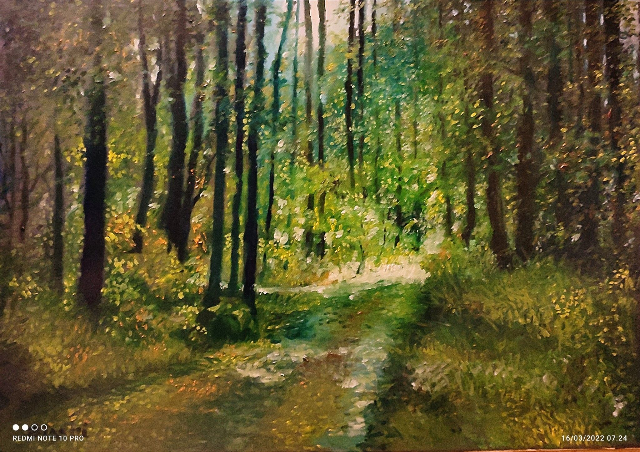 OLIO SU TELA   MASSIMO BIGAZZI ' SENTIERO ILLUMINATO NEL BOSCO ' dimensioni L 70 x H 50 cm.