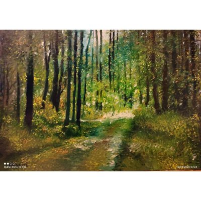 OLIO SU TELA MASSIMO BIGAZZI ' SENTIERO ILLUMINATO NEL BOSCO ' dimensioni L 70 x H 50 cm.