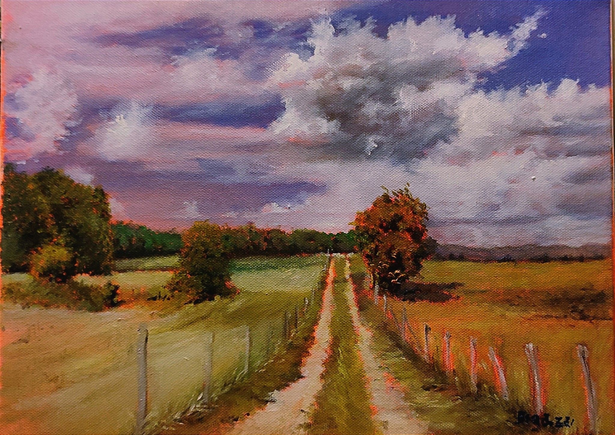 OLIO SU TELA  MASSIMO BIGAZZI ' STRADA BIANCA DI CAMPAGNA '  dimensioni L 50 x H 35 cm.