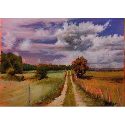 OLIO SU TELA MASSIMO BIGAZZI ' STRADA BIANCA DI CAMPAGNA ' dimensioni L 50 x H 35 cm.