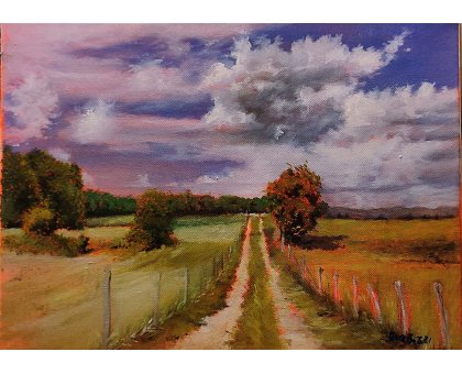 OLIO SU TELA MASSIMO BIGAZZI ' STRADA BIANCA DI CAMPAGNA ' dimensioni L 50 x H 35 cm.