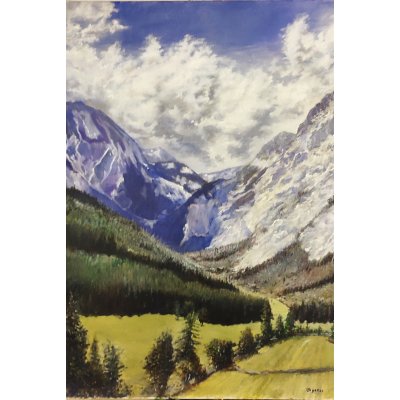 OLIO SU TELA MASSIMO BIGAZZI ' VALICO ALPINO ' dimensioni L 50 x H 70 cm.