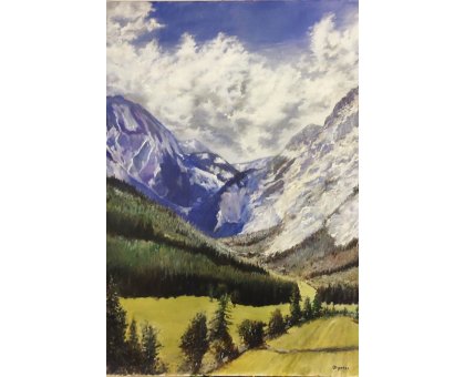 OLIO SU TELA MASSIMO BIGAZZI ' VALICO ALPINO ' dimensioni L 50 x H 70 cm.