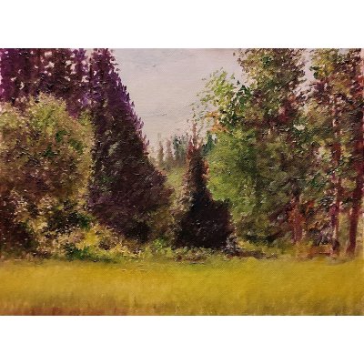 OLIO SU TELA MASSIMO BIGAZZI ' PRATO CON ALBERI INTORNO ' dimensioni L 40 x H 30 cm.