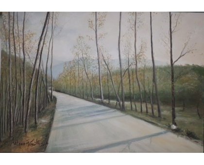 TEMPERA SU TELA ANTONIO PRESUTTI ' STRADA ALBERATA ' dimensioni L 50 x H 35 cm.