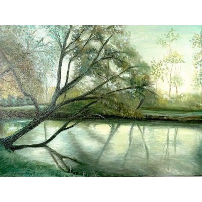 OLIO SU TELA ANTONIO PRESUTTI ' SALICI ' dimensioni L 40 x H 30 cm.