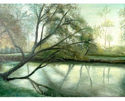 OLIO SU TELA ANTONIO PRESUTTI ' SALICI ' dimensioni L 40 x H 30 cm.