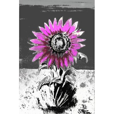 MIXED MEDIA SU TELA TIZIANA STOCCO ' GIRASOLE NEL CAMPO 2 ' dimensioni L 50 x H 75 cm.