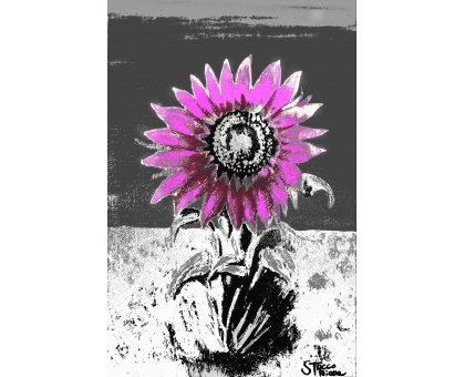 MIXED MEDIA SU TELA TIZIANA STOCCO ' GIRASOLE NEL CAMPO 2 ' dimensioni L 50 x H 75 cm.