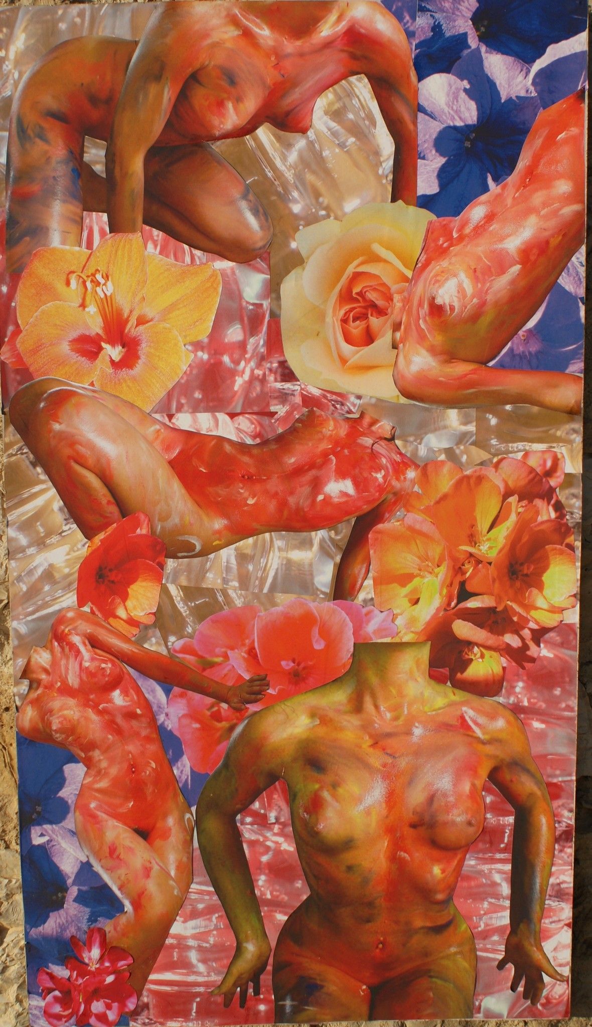 COLLAGE DI FOTO  MADRITERRA ' IL GIARDINO DEI DESIDERI '  dimensioni L 100 x H 200 cm.