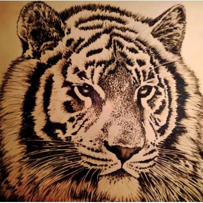 MIXED MEDIA SU TELA TIZIANA SANNA ' GOLD TIGER ' dimensioni L 100 x H 100 cm.